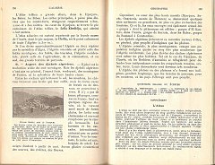 ALGERIE COURS HISTOIRE COLONISATION GEOGRAPHIE ADMINISTRATION  (82)